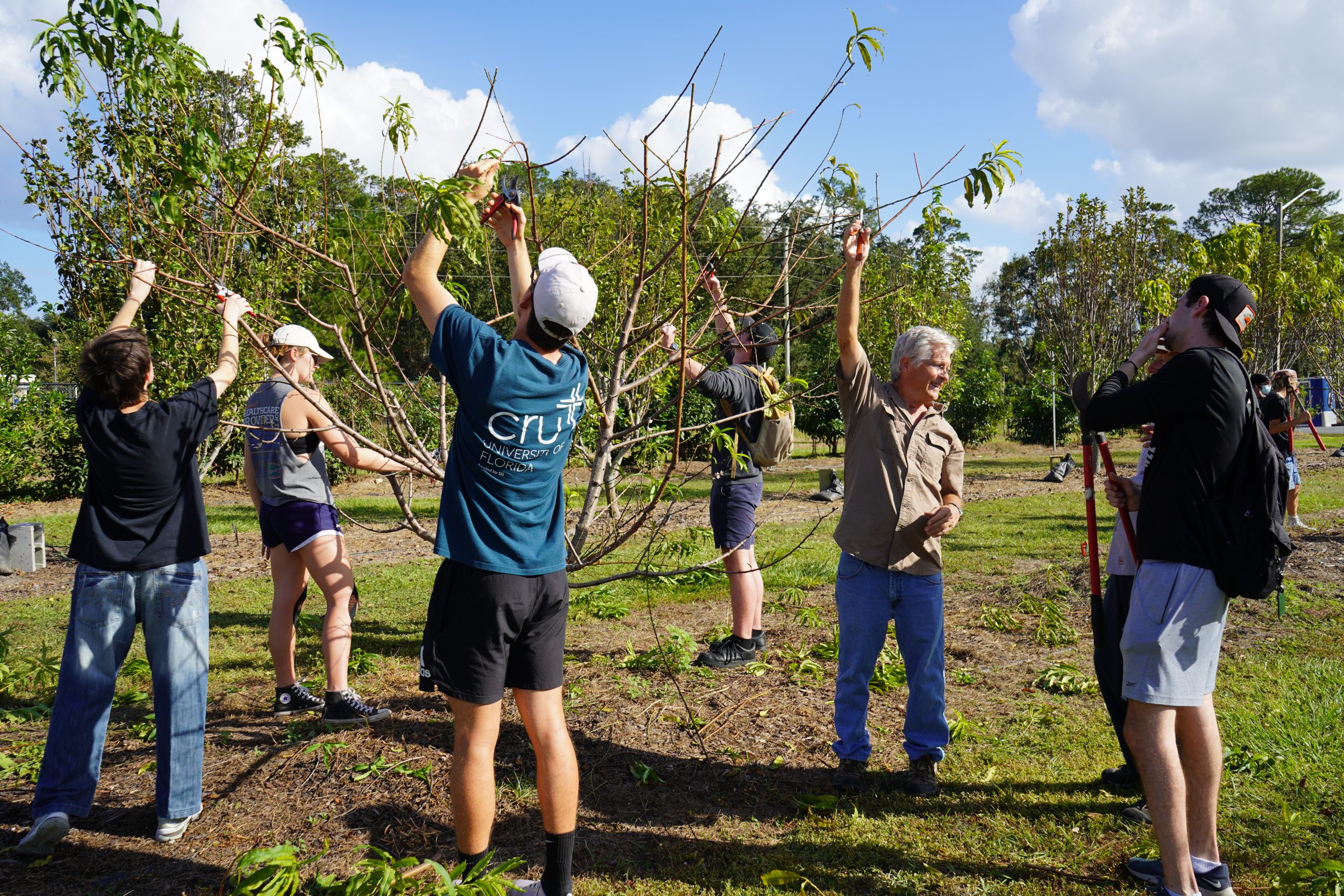 Dr. Jeffrey Williamson teaching students fruit tree pruning techniques