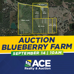 Blueberry Farm Auction, Sept 14 at 10am