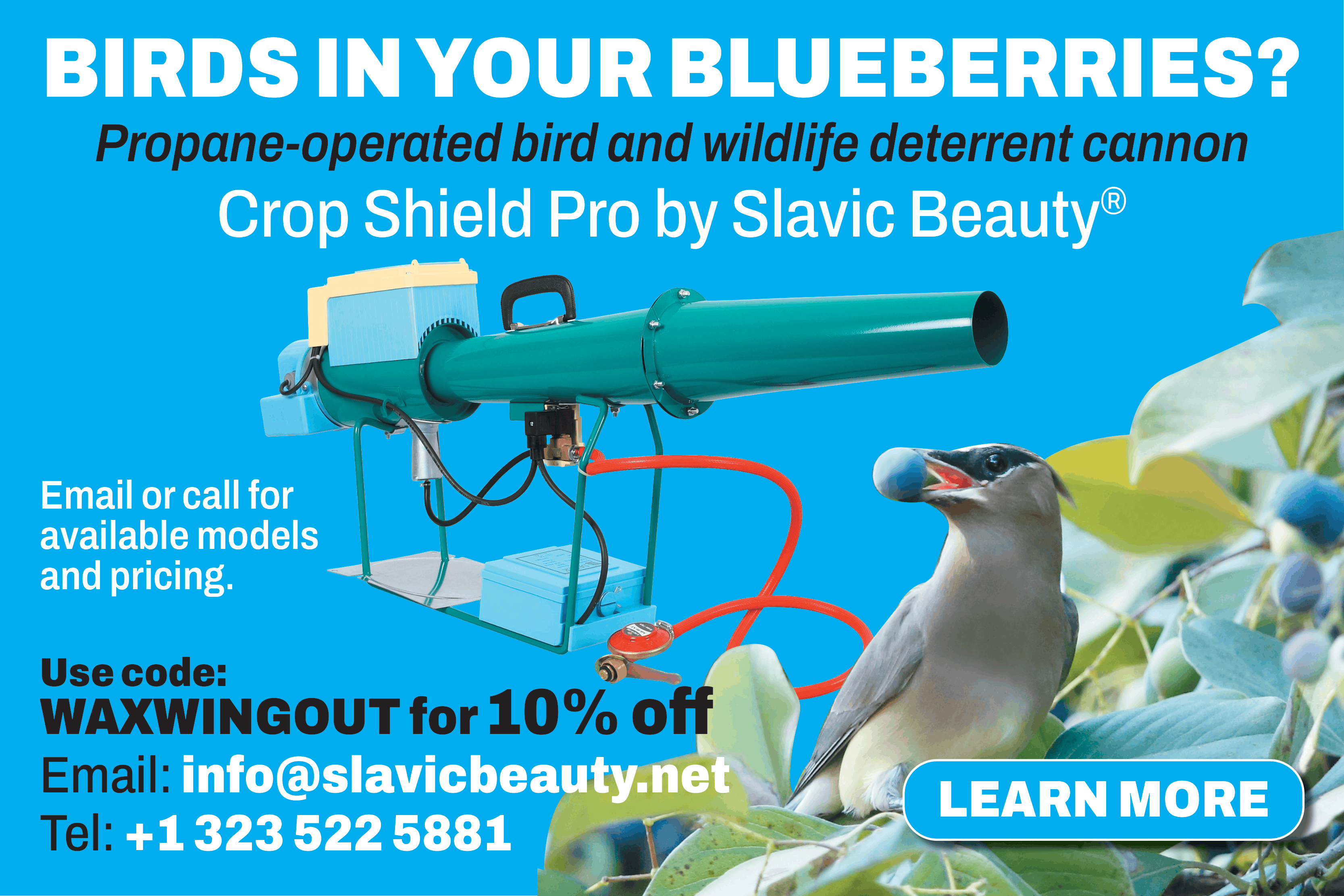 Bird Scare Gun THAT WORKS