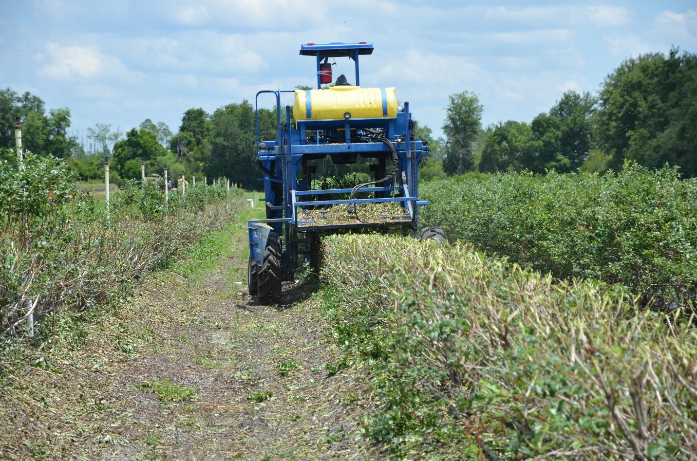 A large machine in a fieldDescription automatically generated